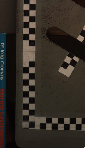 Marine Gastropods from Curação, Aruba and Bonaire