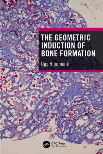The Geometric Induction of Bone Formation