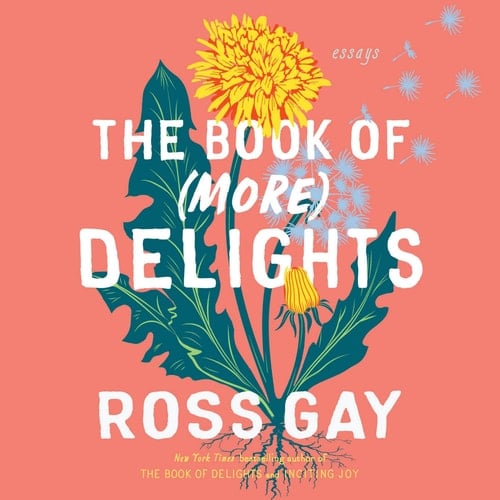 The Book of More Delights: Essays