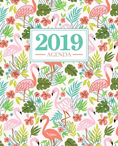 Agenda 2019 19x23cm: Agenda 2019 Semainier Fran