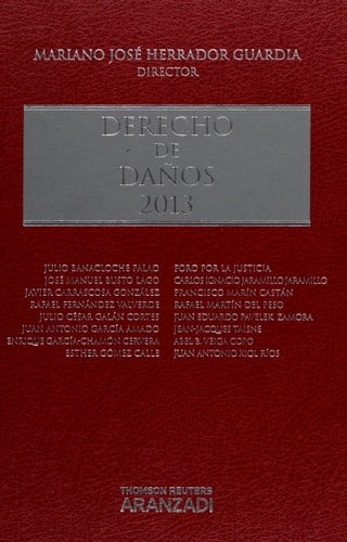 Derecho de daños 2013