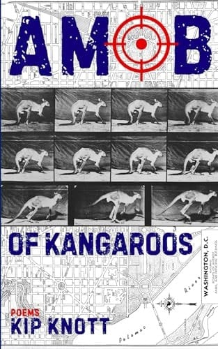 A Mob of Kangaroos