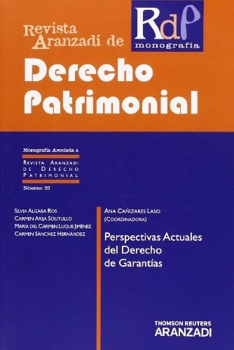 Perspectivas actuales del derecho de garantías