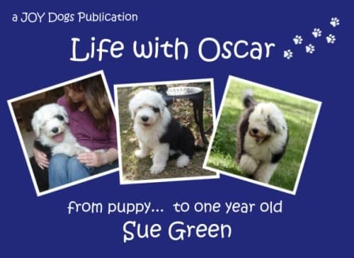 Life with Oscar From Puppy... to One Year Old