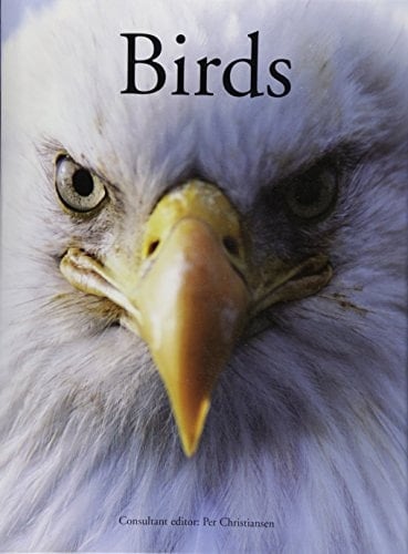Encyclopedia of Birds