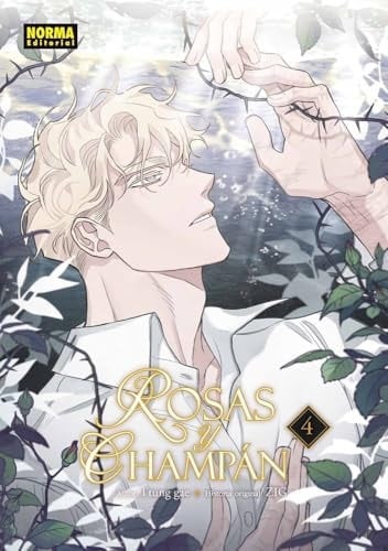 ROSAS Y CHAMPAN 04