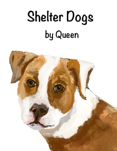 Shelter Dogs