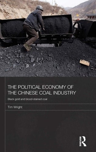 The Political Economy of the Chinese Coal Industry Black Gold and Blood-stained Coal