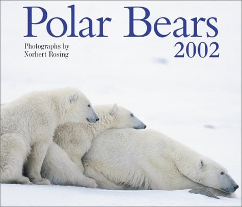 Polar Bears 2002