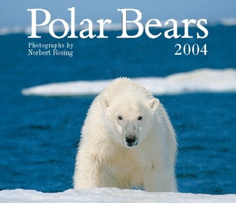Polar Bears 2004