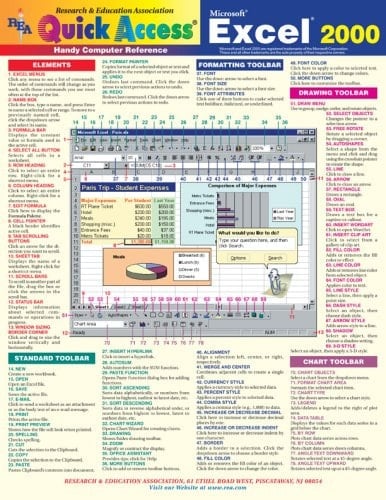 Microsoft Excel 2000 Quick Access