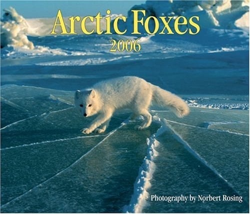 Arctic Foxes 2006
