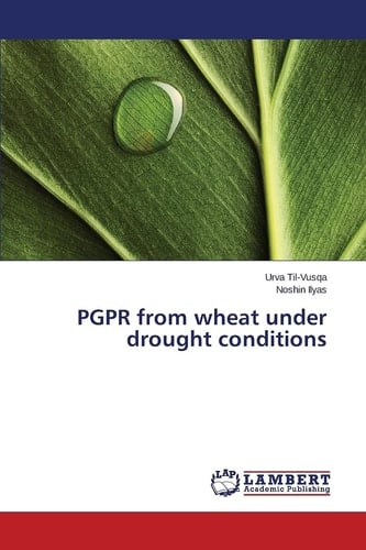 PGPR from Wheat Under Drought Conditions