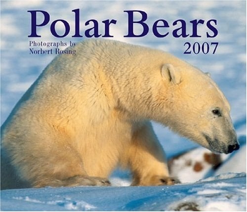 Polar Bears 2007