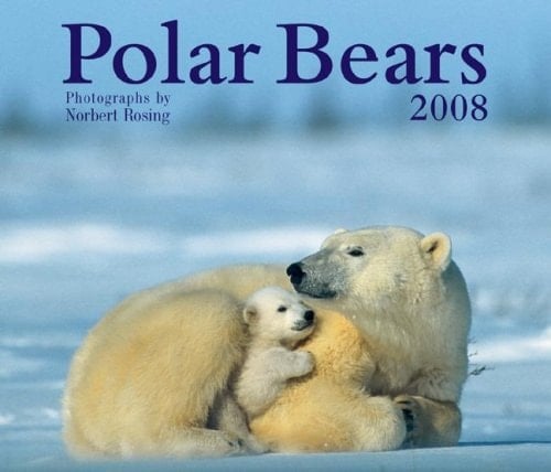 Polar Bears 2008