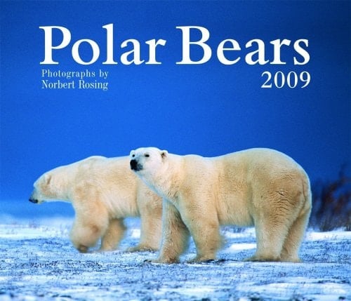Polar Bears 2009 Calendar