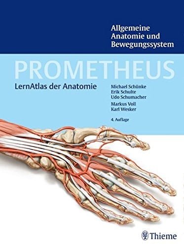 Allgemeine Anatomie und Bewegungssystem