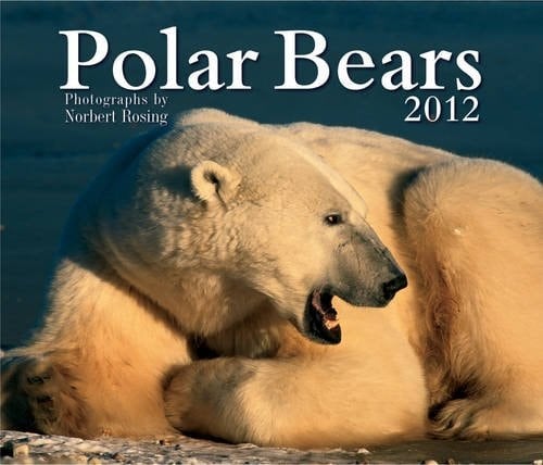 Polar Bears 2012