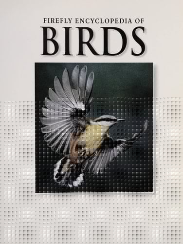 Firefly Encyclopedia of Birds