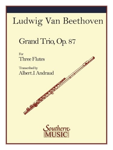 Grand Trio, Op. 87 (Flute Trio)