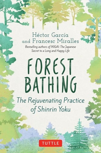 Forest Bathing The Rejuvenating Practice of Shinrin Yoku