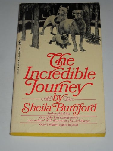 The Incredible Journey