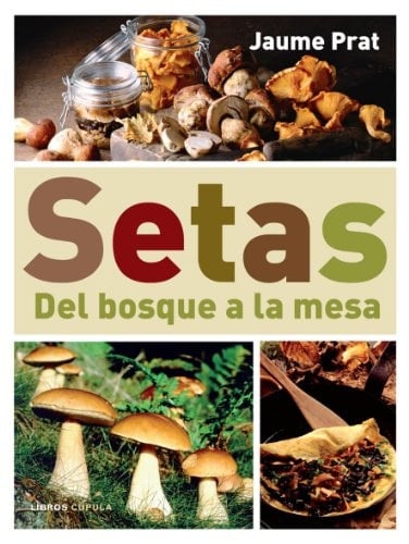 Setas: del bosque a la mesa