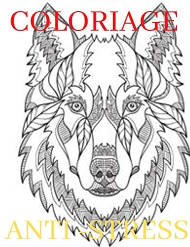 COLORIAGE ANTI-STRESS: Livre de Coloriage pour Adultes: Super Loisir Antistress pour se détendre (French Edition)