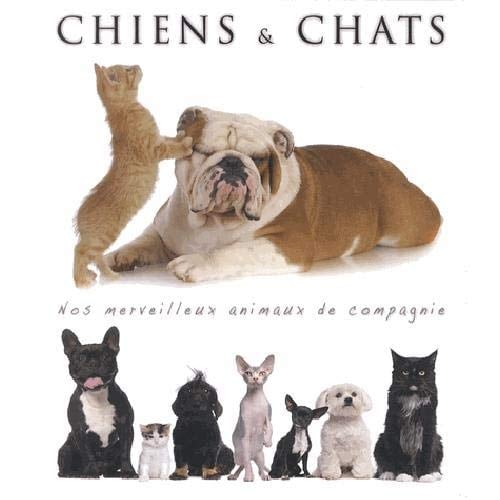 Chiens et chats Nos merveilleux animaux de compagnie
