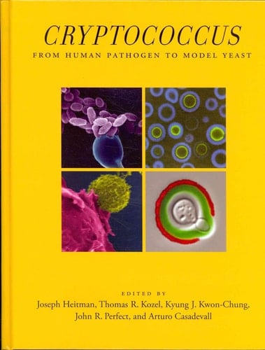 Cryptococcus From Human Pathogen to Model Yeast