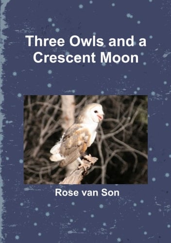Three Owls and a Crescent Moon