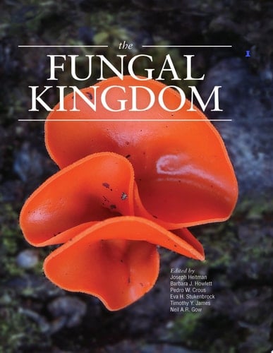 The Fungal Kingdom