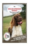 The English Springer Spaniel Fact and Picture Book Fun Facts for Kids about English Springer Spaniel
