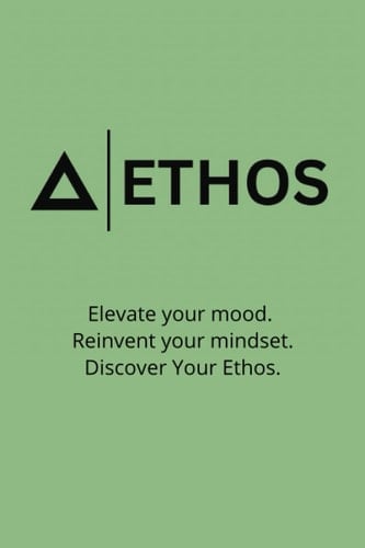 Unearthing Your Ethos: A Journey to Discovering Your Guiding Principles: Elevate your mood. Reinvent your mindset. Discover your ethos.