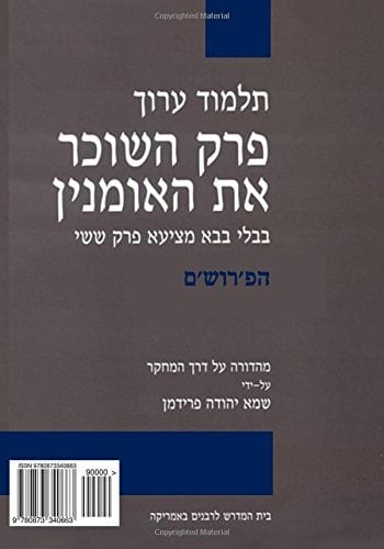 BT Bava Meẓia VI : Talmud Arukh ; critical edition with comprehensive commentary