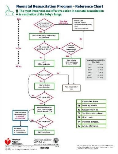Neonatal Resuscitation Program - Reference Chart Pocket Card (Single)