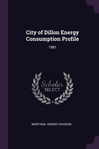 City of Dillon Energy Consumption Profile 1981