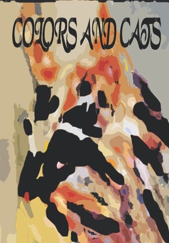 Colors and Cats: Notebook ( Composition book journal ) ( 6.69 x 9.61 Large )