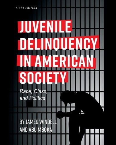 Juvenile Delinquency in American Society Race, Class, and Politics
