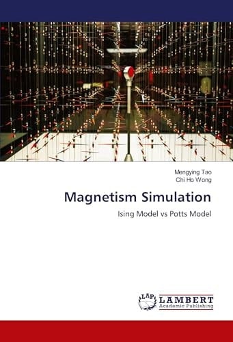Magnetism Simulation