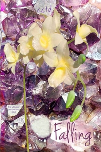 Falling: 6/21 cc&d, v310 the 28-year anniversary issue