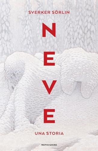 Neve. Una storia