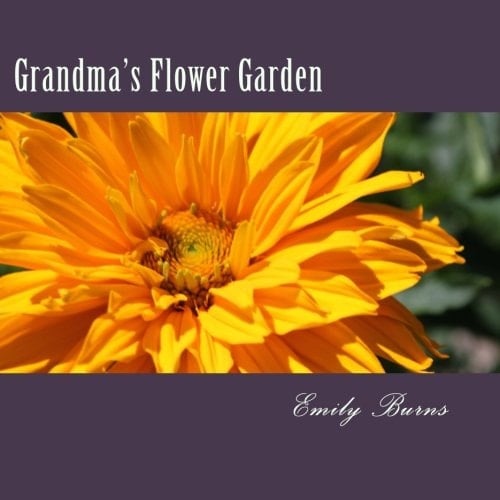 Grandma's Flower Garden Flower Photography