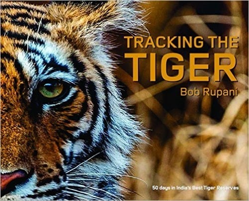 Tracking the Tiger