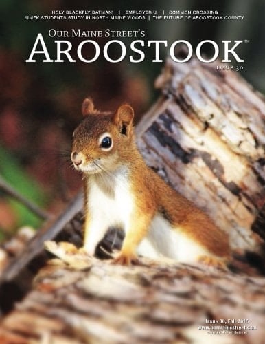 Our Maine Street's Aroostook Issue 30