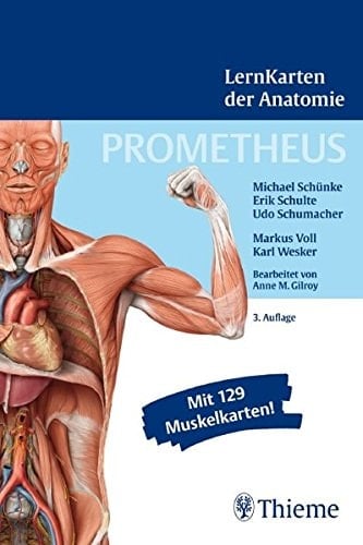 Prometheus Lernkarten der Anatomie