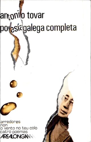 Poesía galega completa