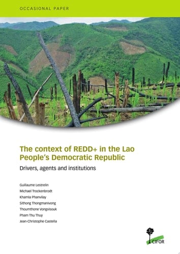 The context of REDD+ in the Lao People’s Democratic Republic: Drivers, agents and institutions
