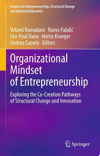 Organizational Mindset of Entrepreneurship