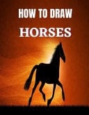 How to Draw Horses Learn to Draw Horses with a Step by Step Instructions